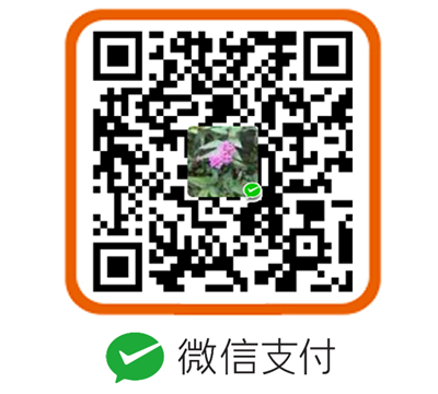 ���_�֙C��һ�߼��ɴ��p