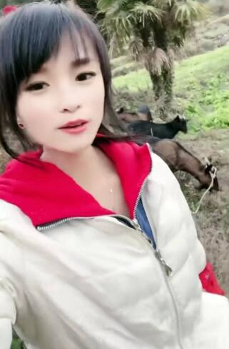 ��ѩ�ٌ��ˆ���